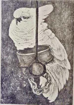 Theo van Hoytema - 'Witte kaketoe aan ketting op stok' verkocht voor € 50!