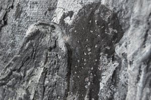 Zhou Brothers - Materie + olieverf - Dark Night - 1995 kopen? Bied vanaf 750!