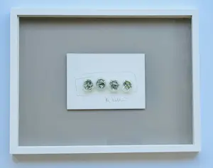 AcheterJan Henderikse - Shredded dollar bills in tubes ( met lijst)? Enchérissez de 325!