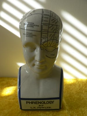Curiosa - Phrenology head by L.N.Fowler kopen? Bied vanaf 50!