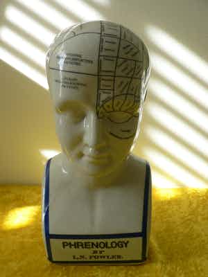 Phrenology head by L.N.Fowler verkocht voor € 50!