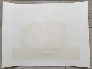 Rene Magritte - La valse hésitation kopen? Bied vanaf 490!