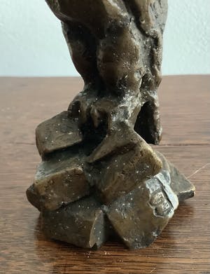 Brons (Onbekend) - Roofvogel kopen? Bied vanaf 150!