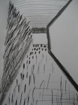 Roger Raveel - Raveel tekent over het tekenen kopen? Bied vanaf 125!