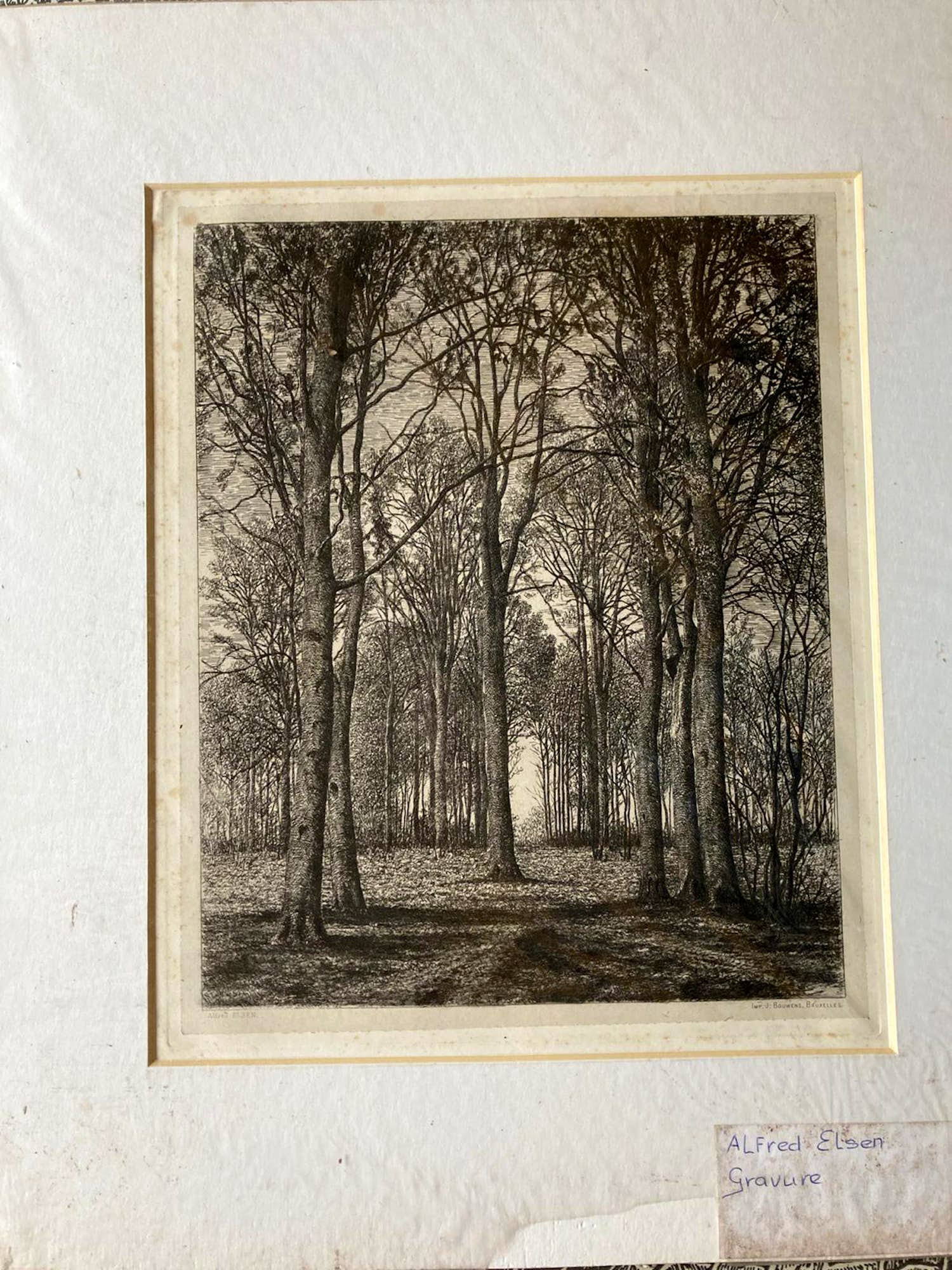 Alfred Elsen - boslandschap kopen? Bied vanaf 20!