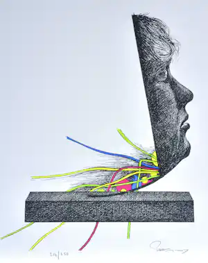 Paul Van Hoeydonck - Zeefdruk - Gesigneerd - 54x42 cm - 1977 verkauft für € 90!