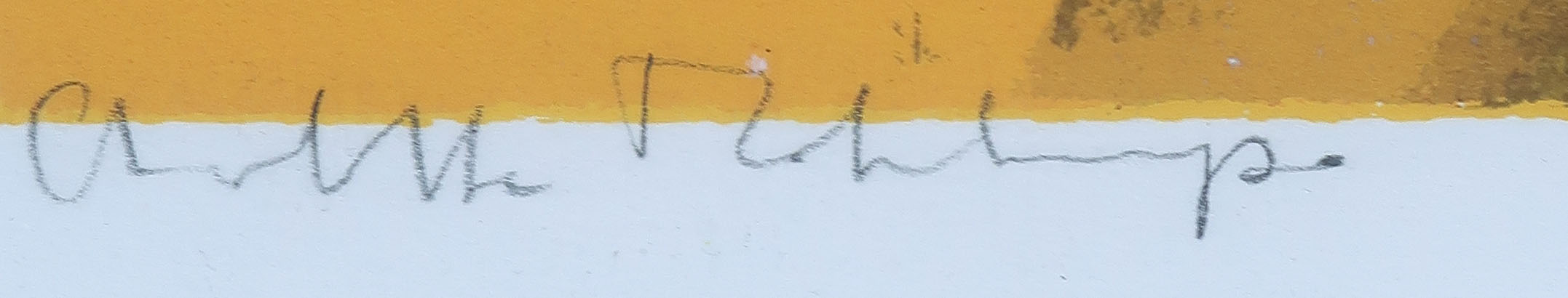 Charlotte Molenkamp - Zeefdruk, Vogel in Geel - Ingelijst (Groot) kopen? Bied vanaf 1!