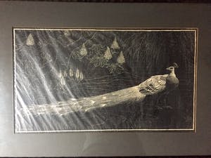 Henri Verstijnen - "Pauw" - Houtsnede, Ingelijst kopen? Bied vanaf 80!