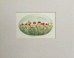 Truusje Mul - Klaproosjes | kleuren ets - ingelijst kopen? Bied vanaf 19!