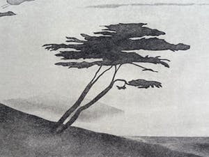 Colette Meltzer-Haesaerts - Touring High kopen? Bied vanaf 5!