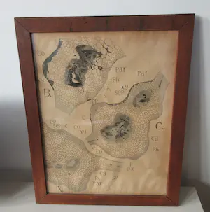 Niet of onleesbaar gesigneerd - Antieke Anatomische gravure kopen? Bied vanaf 1!