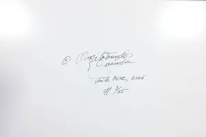 Angele Etoundi Essamba - C-Print op dibond, Voile ocre (met ophangsysteem) kopen? Bied vanaf 1!