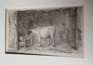 Frans Lebret - 2 fraai gedetailleerde Etsen "Koeien + Stier in stal" - 1908 - in passe partout kopen? Bied vanaf 34!