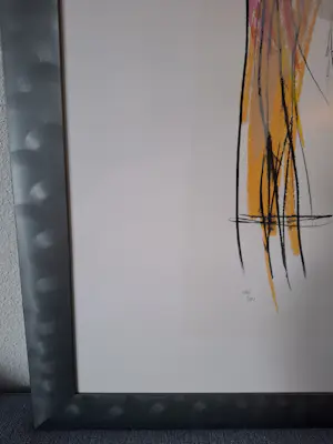 Peter Schenk - Zeefdruk, in mooie lijst, handgesigneerd kopen? Bied vanaf 75!