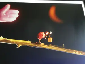 Henk Tas - Beetles out! kopen? Bied vanaf 20!