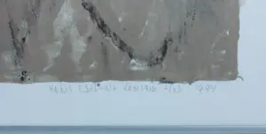 Hans Ebeling Koning - Litho op papier, Stilte - Ingelijst (Groot) kopen? Bied vanaf 60!