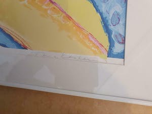 Ton van Kesteren - alweer afgeprijst : fraaie abstracte zeefdruk , ingelijst en gesigneerd kopen? Bied vanaf 19!