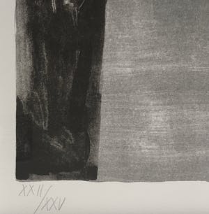 Klaas Gubbels - litho ‘zonder titel - ingelijst - 1989 kopen? Bied vanaf 525!