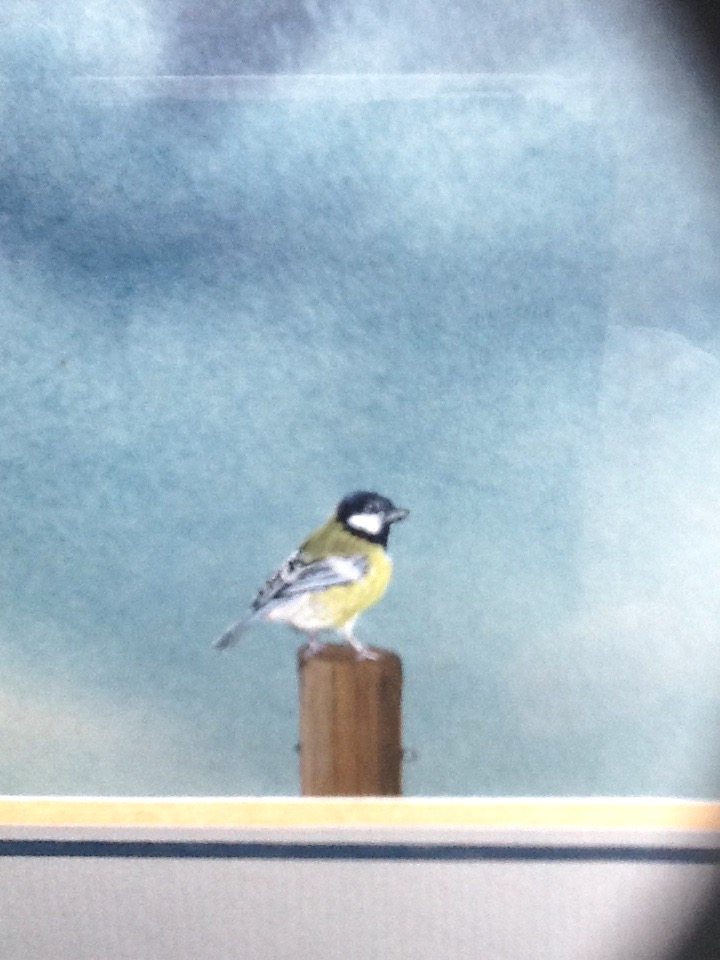 Anja Middelkoop - Geschilderd Koolmeesje,gesigneerd en ingelijst kopen? Bied vanaf 35!