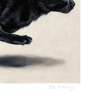 Mr Strange - De zwarte kat kopen? Bied vanaf 85!