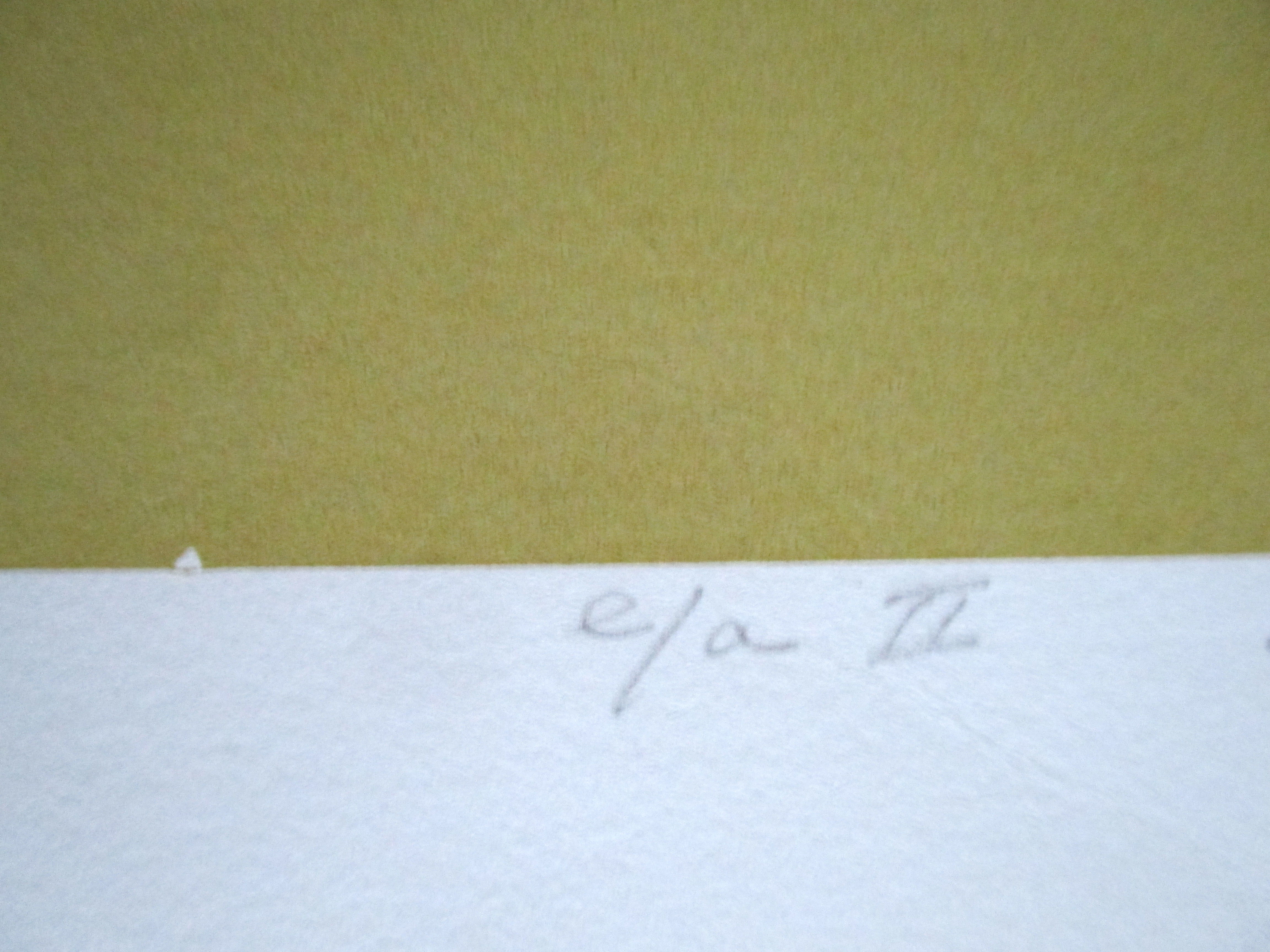 Frank Lodeizen - Zeefdruk kopen? Bied vanaf 35!