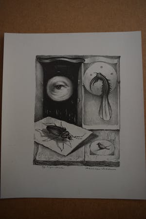 Hans van Dokkum - Compositie met oog, Kever en vogels kopen? Bied vanaf 40!