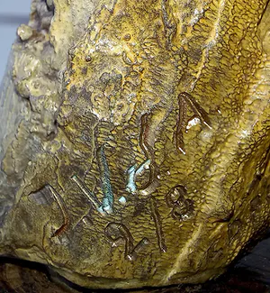 Jacques Van Den Abeele - Violonist, bronzen beeld (groot, zwaar) kopen? Bied vanaf 2750!