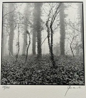 Ralph Janowski - 2x zeefdruk kopen? Bied vanaf 32!