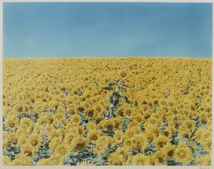 Jean Ruiter - Foto, I Surrender - Ingelijst kopen? Bied vanaf 50!