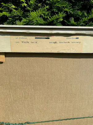 Jef Diederen - Black Saint kopen? Bied vanaf 2250!