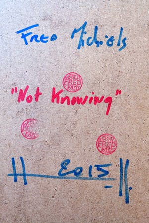 Fred Michiels - Not Knowing kopen? Bied vanaf 60!