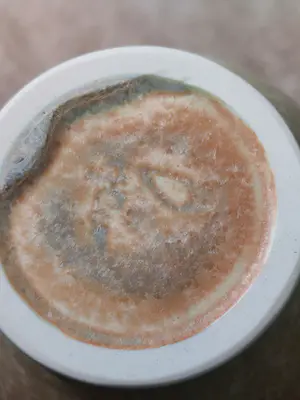 Hein Severijns - Vaas met kristalglazuur kopen? Bied vanaf 160!