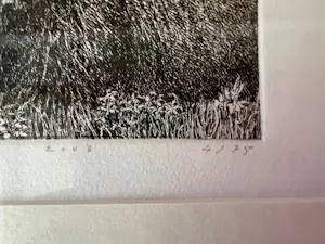 Han van Hagen - echtpaar kopen? Bied vanaf 100!