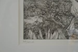 Sjef Hutschemakers - Perenplukker kopen? Bied vanaf 15!