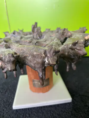 Dolf Wong Lun Hing - Herder met kudde koeien kopen? Bied vanaf 150!