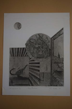 Jan Vaatstra - Ets - " Wrong Evolution " kopen? Bied vanaf 40!