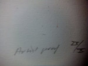 Jan Peter van Opheusden - Vigdis Gunar's Daughter kopen? Bied vanaf 110!