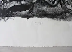 Werner Liebmann - „Der Wald" - Lithographie - Auflage von 22 - signiert kopen? Bied vanaf 120!