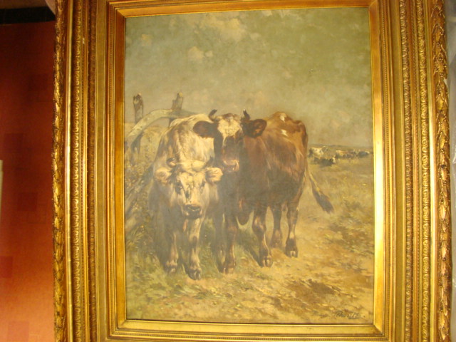 Henry Schouten - twee koeien op de weide kopen? Bied vanaf 2450!