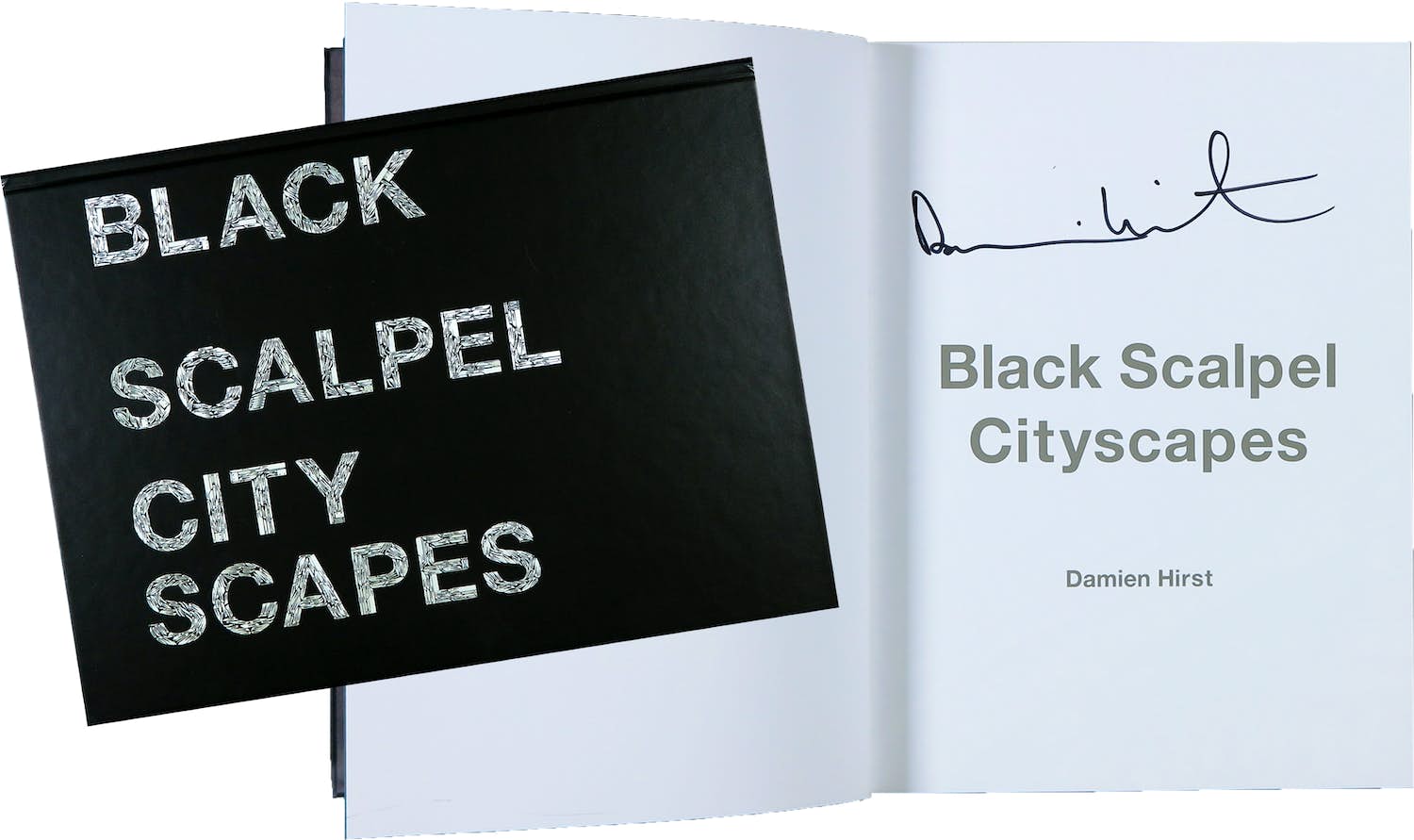 Damien Hirst - Gesigneerd boek - Black Scalpel Cityscapes kopen? Bied vanaf 1!