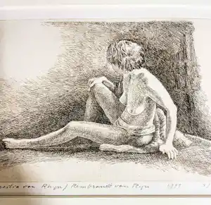 Han van Hagen - ... van Rhijn/Rembrandt van Rhijn verkauft für € 100!