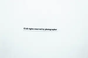 Annie Leibovitz - „Angelina Jolie – Fotoshooting für Vanity Fair“ 2005 kopen? Bied vanaf 90!