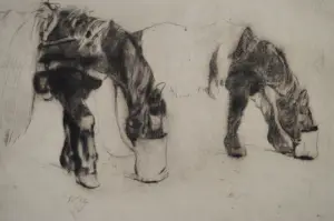 Jan Sirks - paarden kopen? Bied vanaf 25!