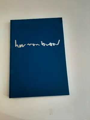 Herman Brood - Boek Woedend licht, incl. zeefdruk - 2000. kopen? Bied vanaf 100!