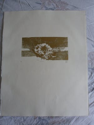 Astrid van Leest - Kleuren ets, Titel, "Chrysant". kopen? Bied vanaf 15!