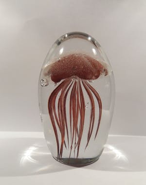 Niet of onleesbaar gesigneerd - 3D jellyfish Presse-papier Glow in the Dark kopen? Bied vanaf 1!