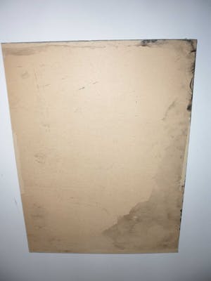 Johan Haantjes - Gemende techniek op karton, kopen? Bied vanaf 15!