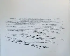 Willem den Ouden - De Waal - twee litho's kopen? Bied vanaf 40!