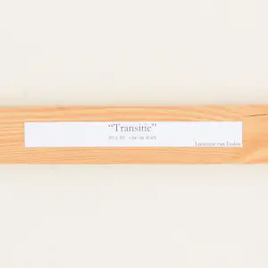 Lucienne van Eeden - Transitie kopen? Bied vanaf 35!