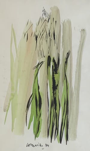 Corneille - Kruiden (Bloemendaal) kopen? Bied vanaf 1600!